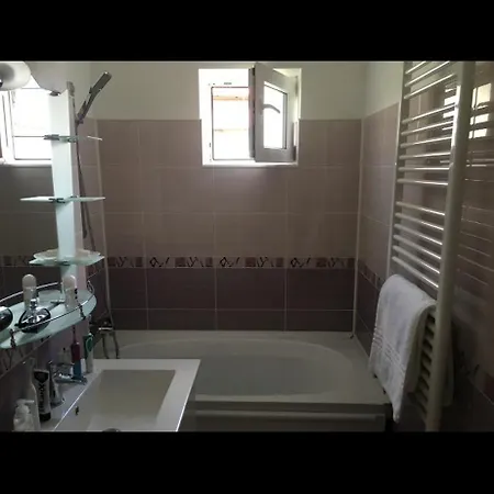 3 * Timisoara